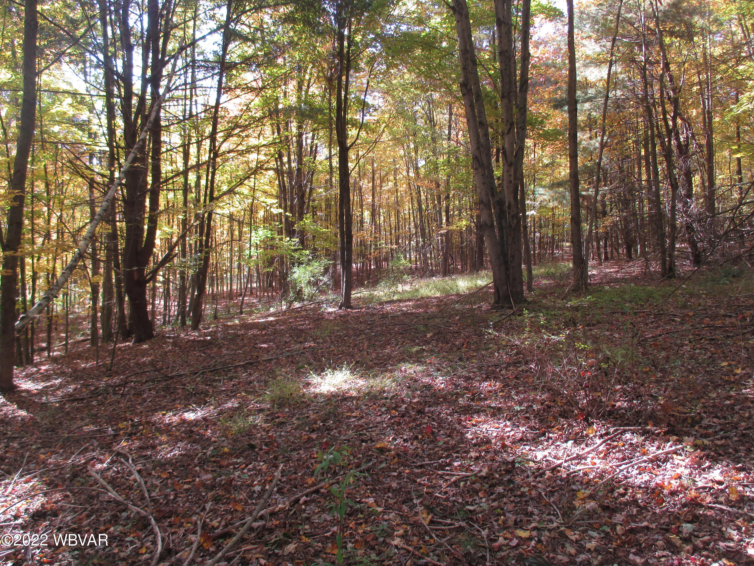 Lake Road Muncy Valley, PA 17758 - Photo 19 of 26 Gallery Image 19