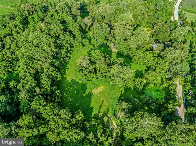 a view of a lush green space