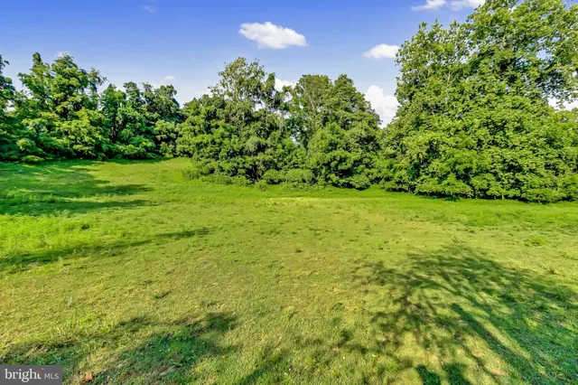 a view of a big yard with plants and large trees