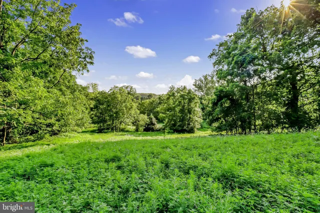 a view of a grassy field with trees in the background