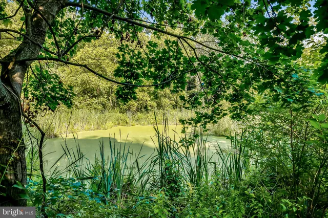a view of yard with green space