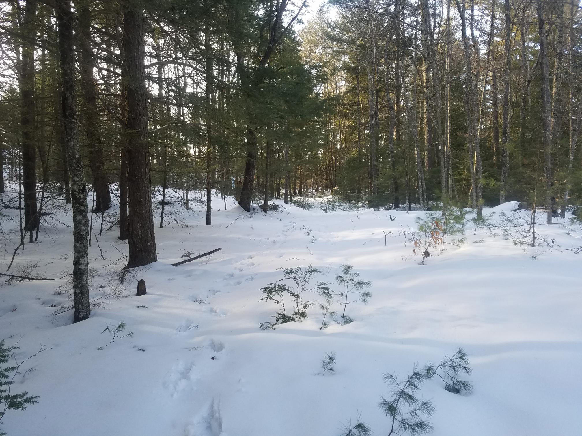 Lot 7 Bell Marsh Road York, ME 03909 - Photo 5 of 18 2