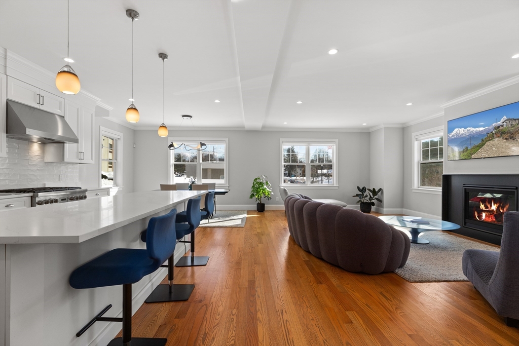 248 Webster Street, Unit 248 Needham, MA 02494 - Photo 4 of 37