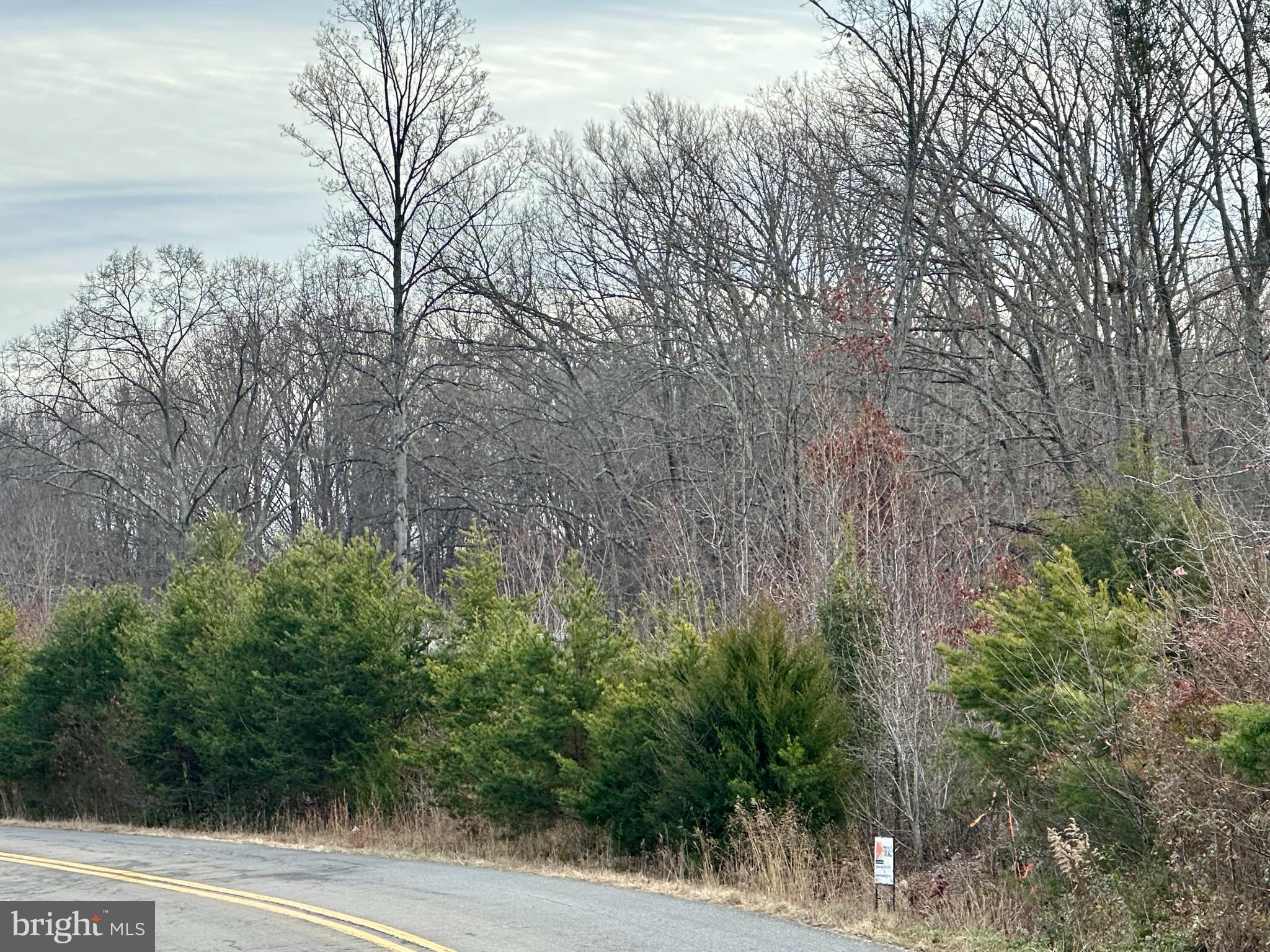 Lot 1 Belsches Road Bumpass, VA 23024 - Photo 3 of 5 a view of a yard with plants and large trees