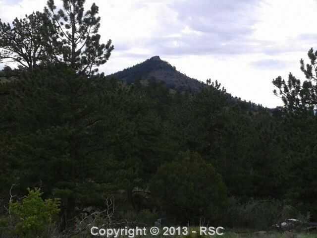 Tbd Wagonwheel Road Guffey, CO 80820 - Photo 15 of 18 Beautiful Trees!