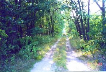 Franklin Road Manistee, MI 49660 - Photo 1 of 3 Primary Photo