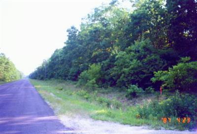 Franklin Road Manistee, MI 49660 - Photo 2 of 3 Additional Photo