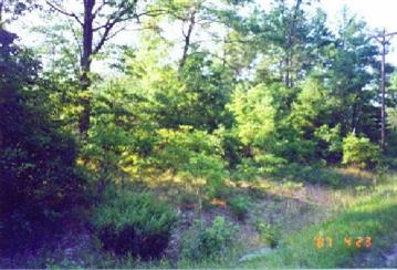 Franklin Road Manistee, MI 49660 - Photo 3 of 3 Additional Photo