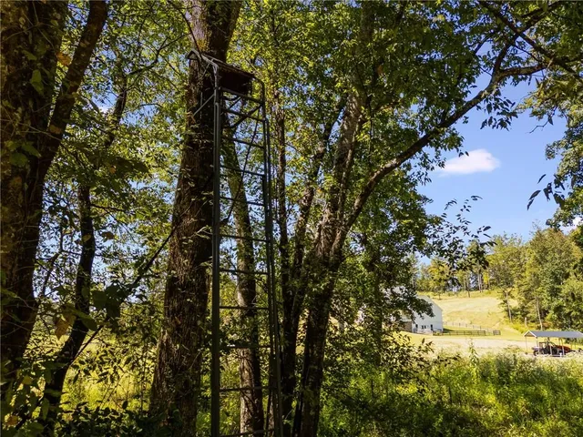 $1,599,000 | 375 Druid Road Southeast, Rome, GA 30161