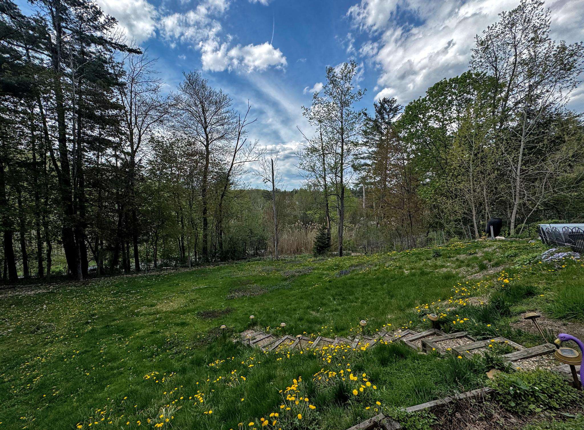 131 Pine Circle Bennington, VT 05201 - Photo 56 of 59