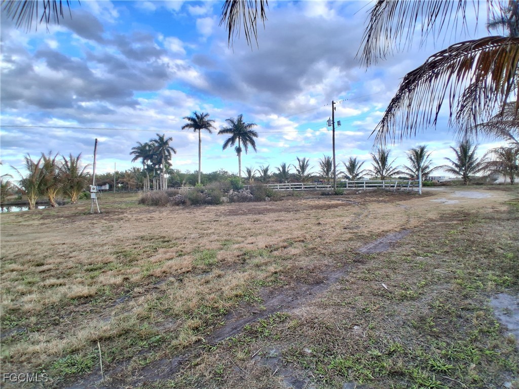 19860 L1 Dike Road Clewiston, FL 33440 - Photo 2 of 40 a view of a yard with a tree