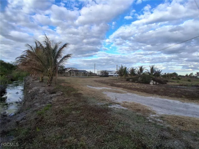 a view of a dry yard