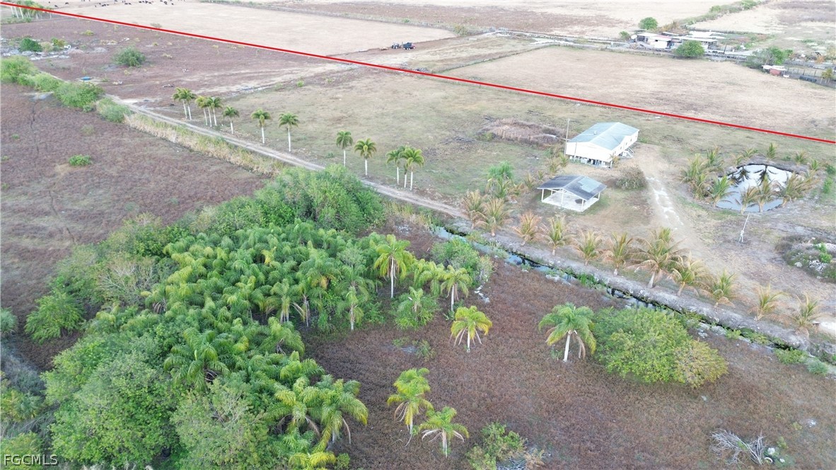 19860 L1 Dike Road Clewiston, FL 33440 - Photo 38 of 40 a view of a yard with an outdoor space