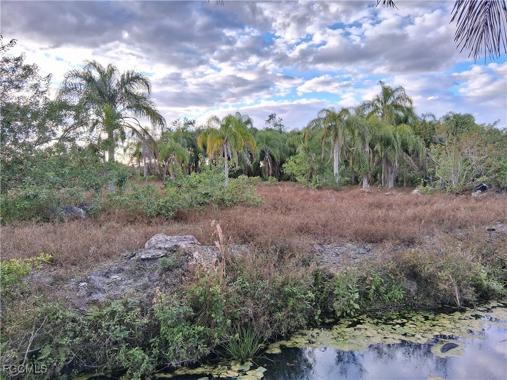 19860 L1 Dike Road Clewiston, FL 33440 - Photo 9 of 38