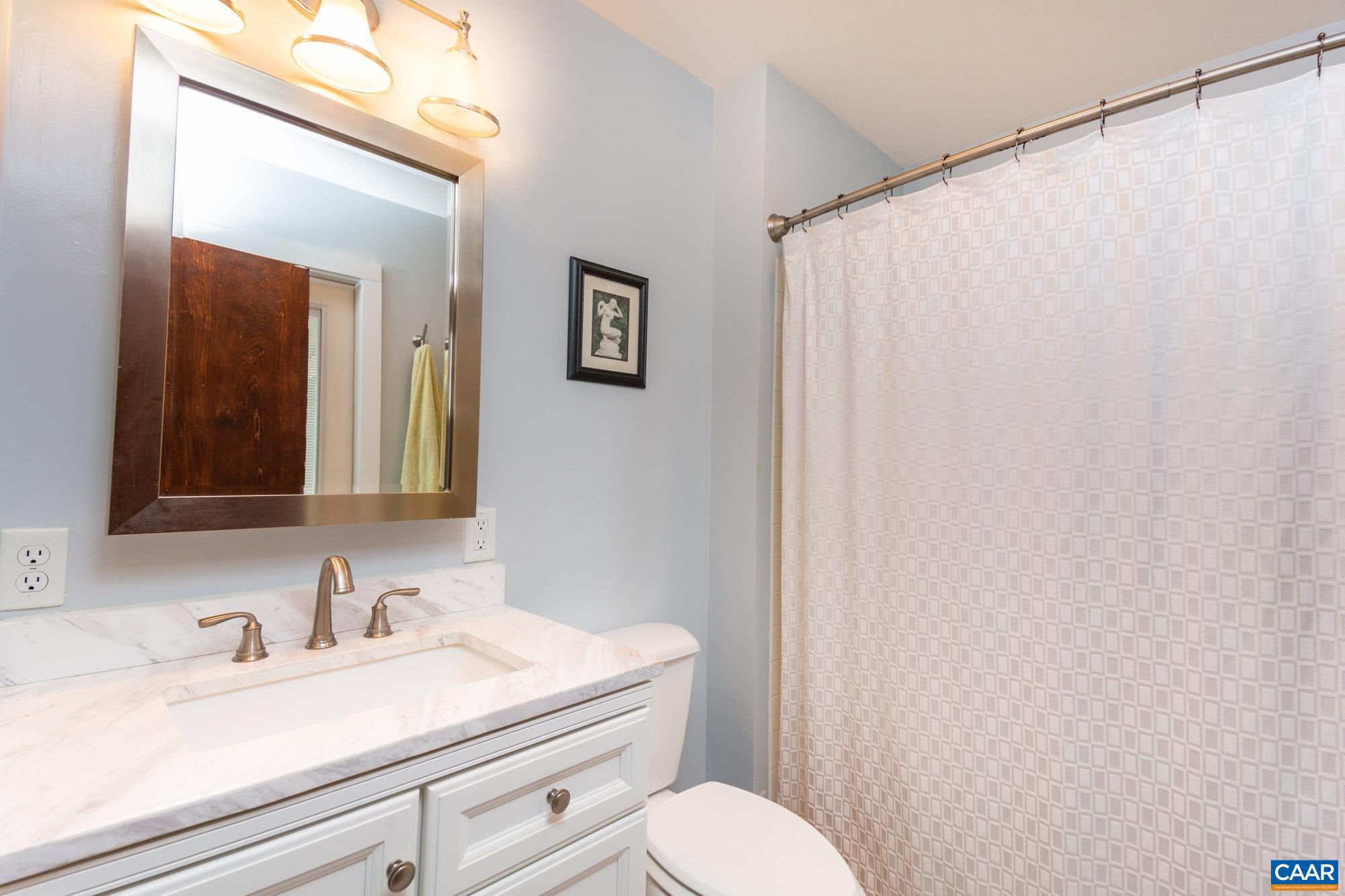 39 Tanglewood Road Palmyra, VA 22963 - Photo 14 of 33 a bathroom with a sink vanity mirror and toilet