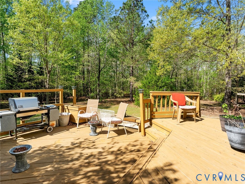 11530 2nd Branch Road Chesterfield, VA 23838 - Photo 64 of 72 Gallery Image 64