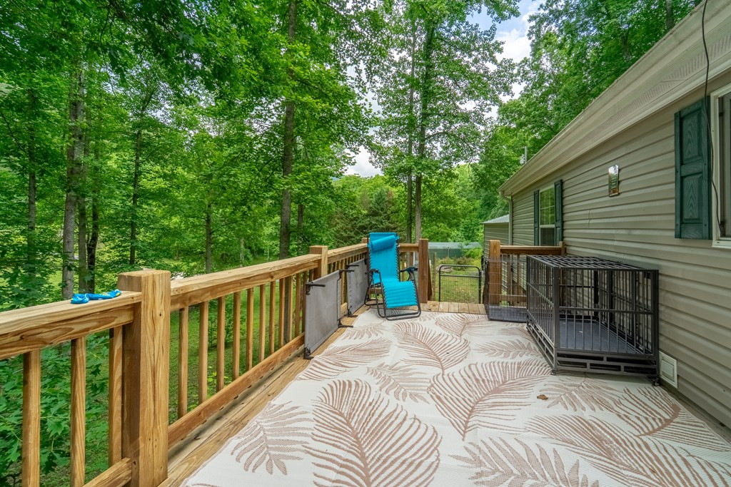 224 Cochrans Cr Road Robbinsville, NC 28771 - Photo 24 of 42