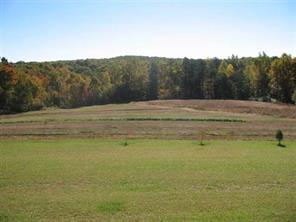 4008 Pea Ridge Road Lawndale, NC 28090 - Photo 7 of 8 Gallery Image 7