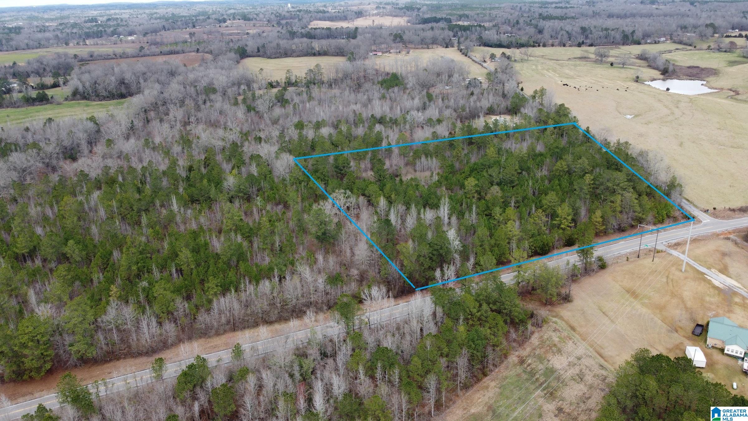 0 County Road 511, Unit 1 Verbena, AL 36091 - Photo 8 of 10