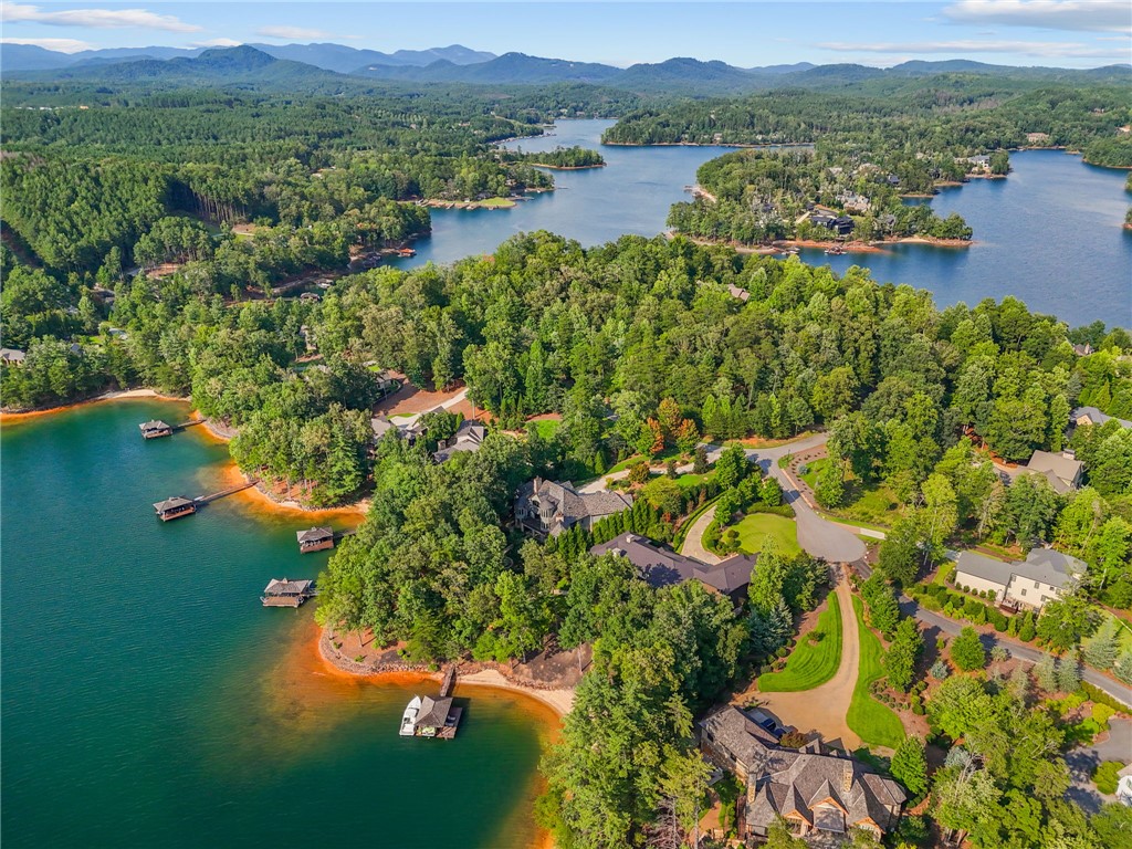 314 Palmer Way Sunset, SC 29685 - Photo 46 of 48 Aerial view of a sprawling lakeside estate featuring multiple boat docks and lush green landscapes.
