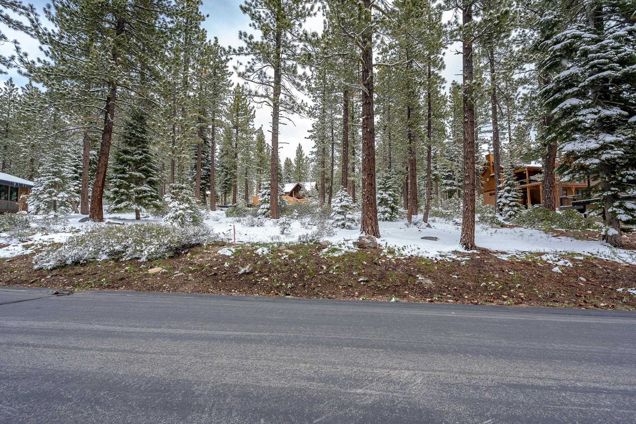 11990 Cavern Way Truckee, CA 96161 - Photo 1 of 8 a view of a yard with large trees
