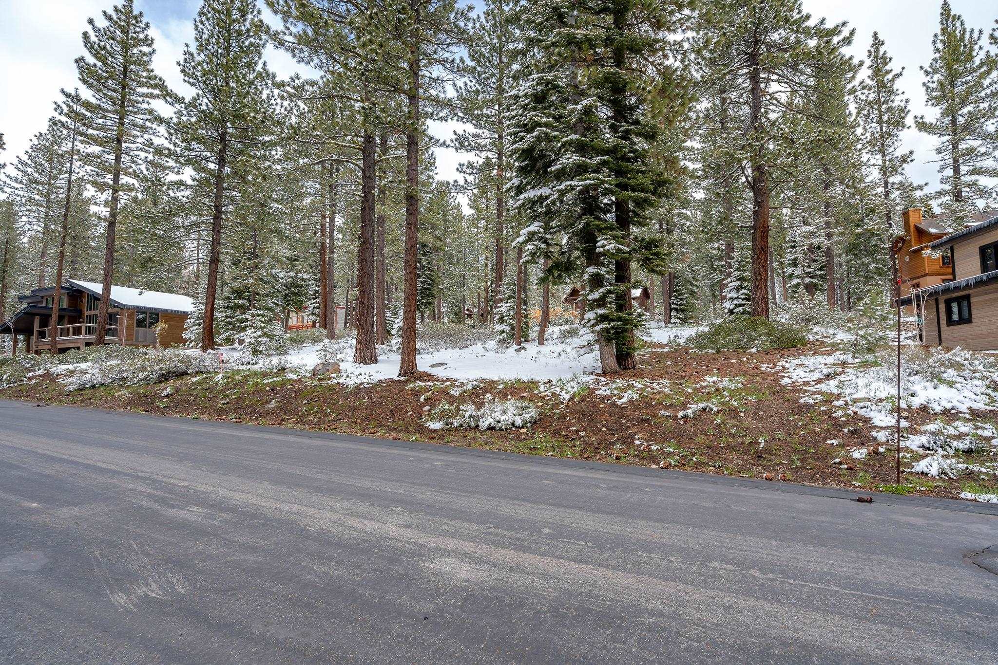 11990 Cavern Way Truckee, CA 96161 - Photo 3 of 8 a view of a park with large trees