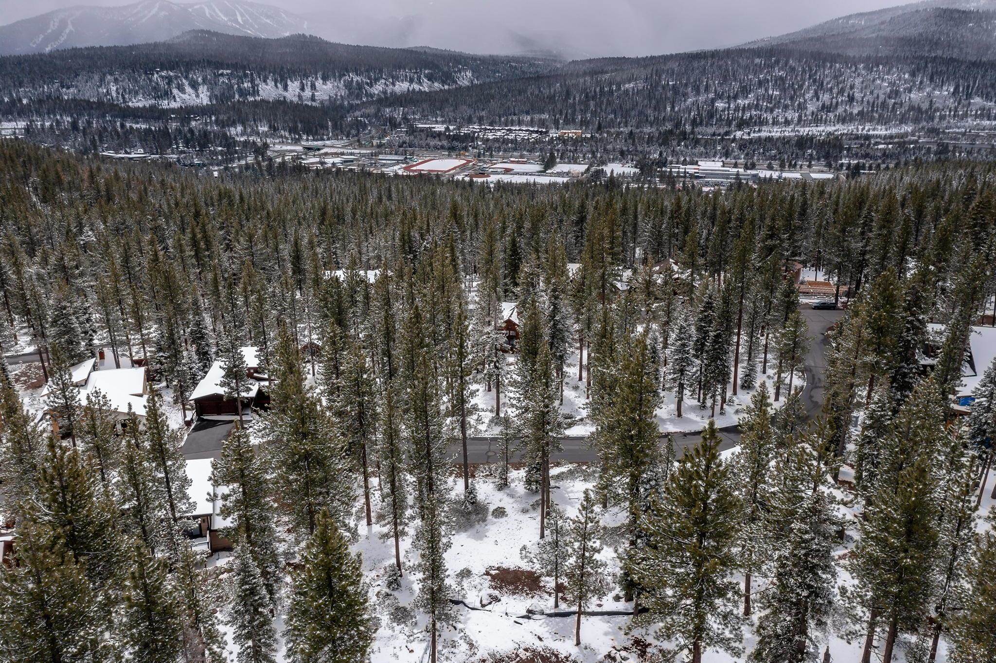 11990 Cavern Way Truckee, CA 96161 - Photo 5 of 8