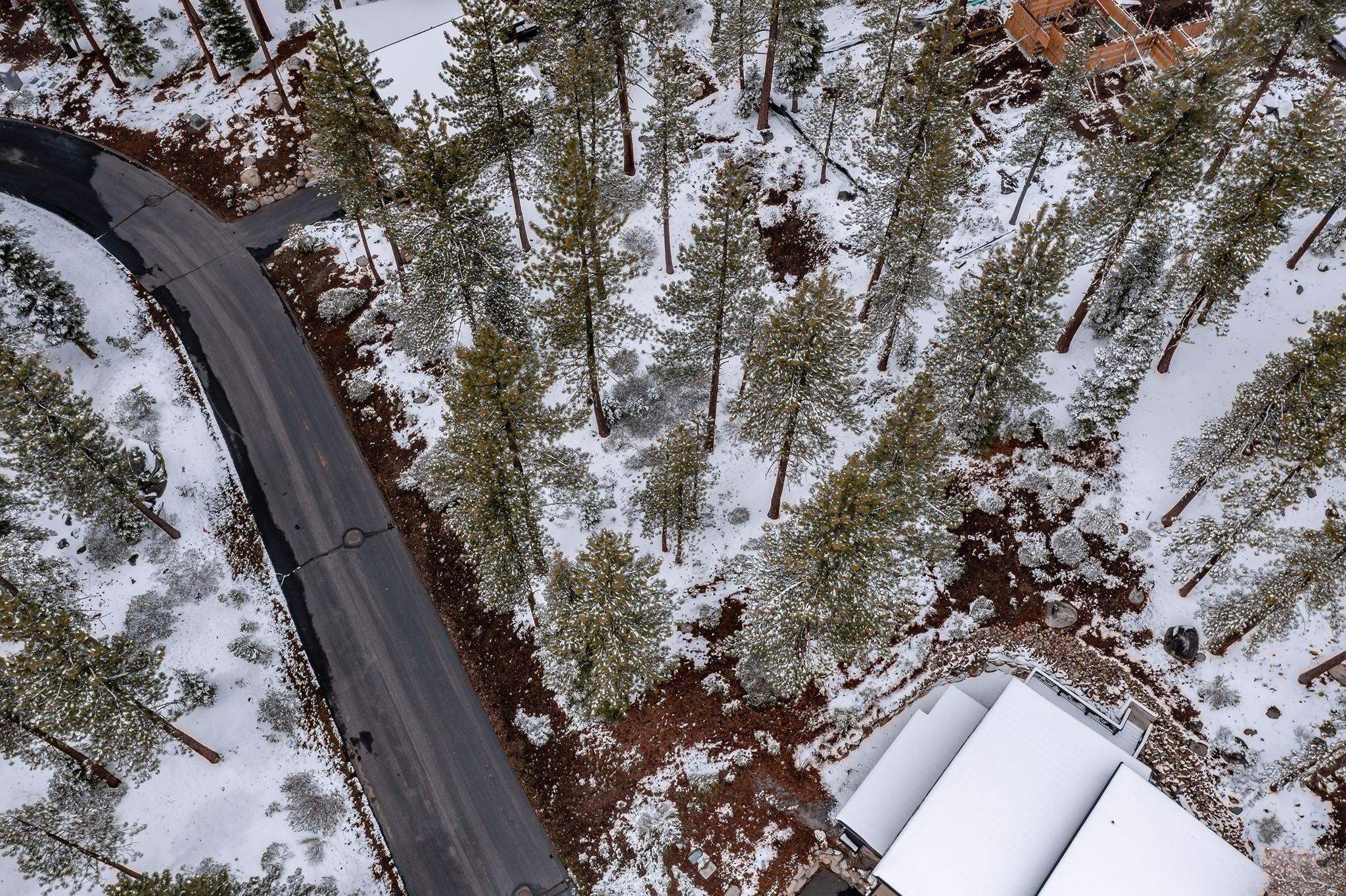 11990 Cavern Way Truckee, CA 96161 - Photo 7 of 8 a view of a yard