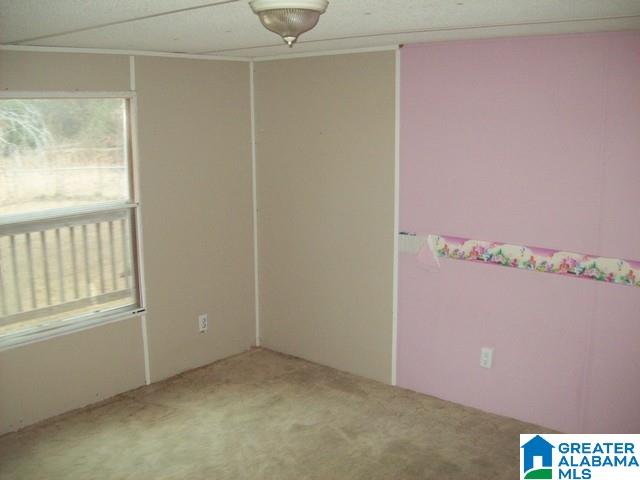 106 Briarfield Road Warrior, AL 35180 - Photo 12 of 23