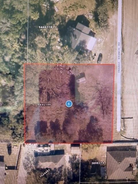 2668 Orange Branch Road Eustis, FL 32726 - Photo 2 of 3