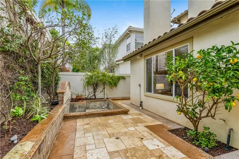 a view of a yard with plants and large trees