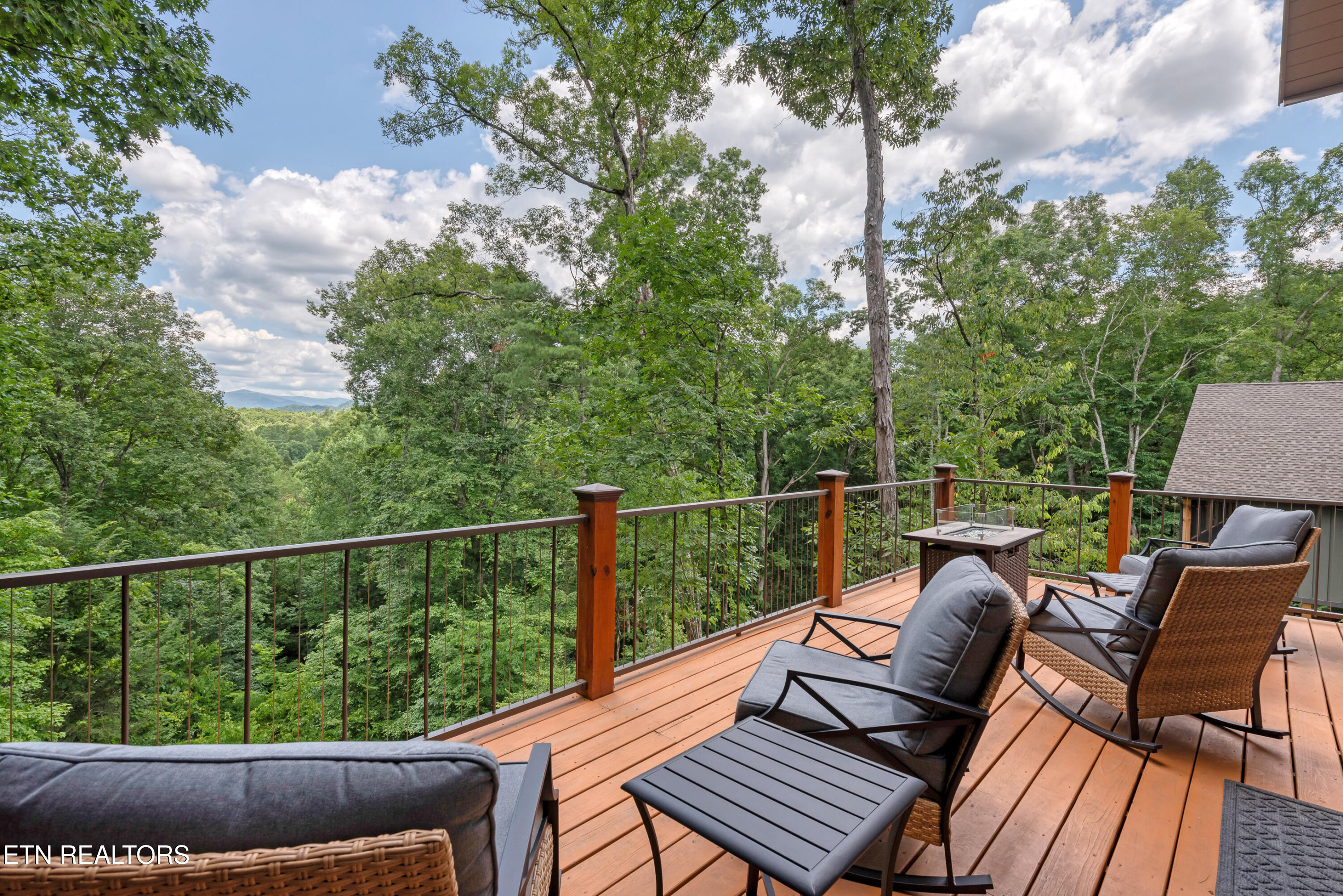 374 Laurel Road Townsend, TN 37882 - Photo 43 of 56 DSC_0140