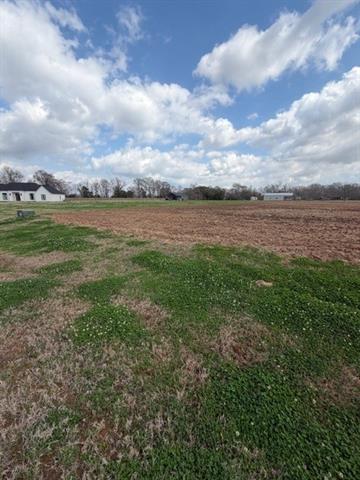 4568 Navy’s Way Road Boyce, LA 71409 - Photo 2 of 5