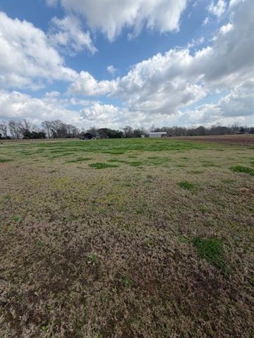 4568 Navy’s Way Road Boyce, LA 71409 - Photo 3 of 5