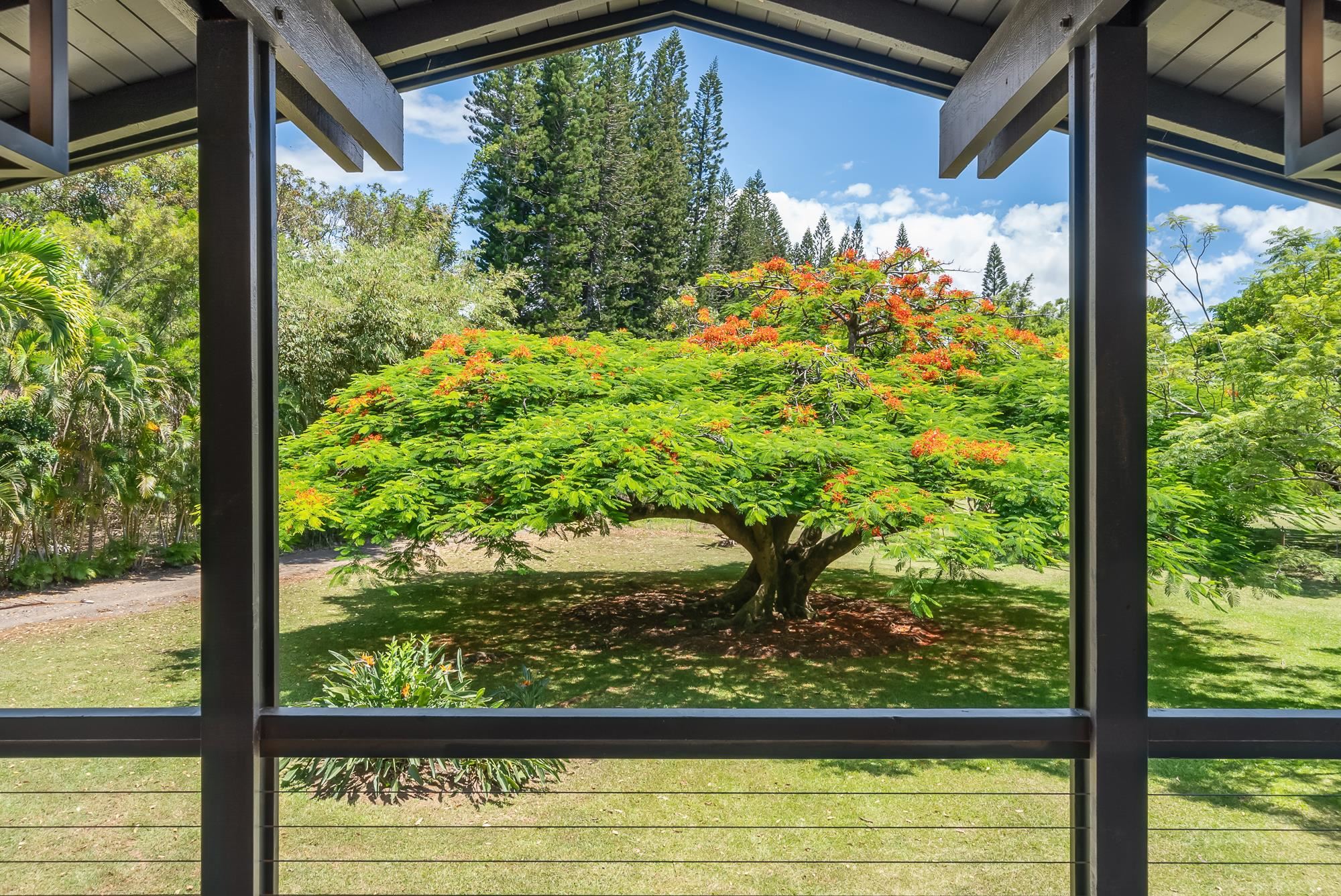 965 Hog Back Road Haiku, HI 96708 - Photo 24 of 44