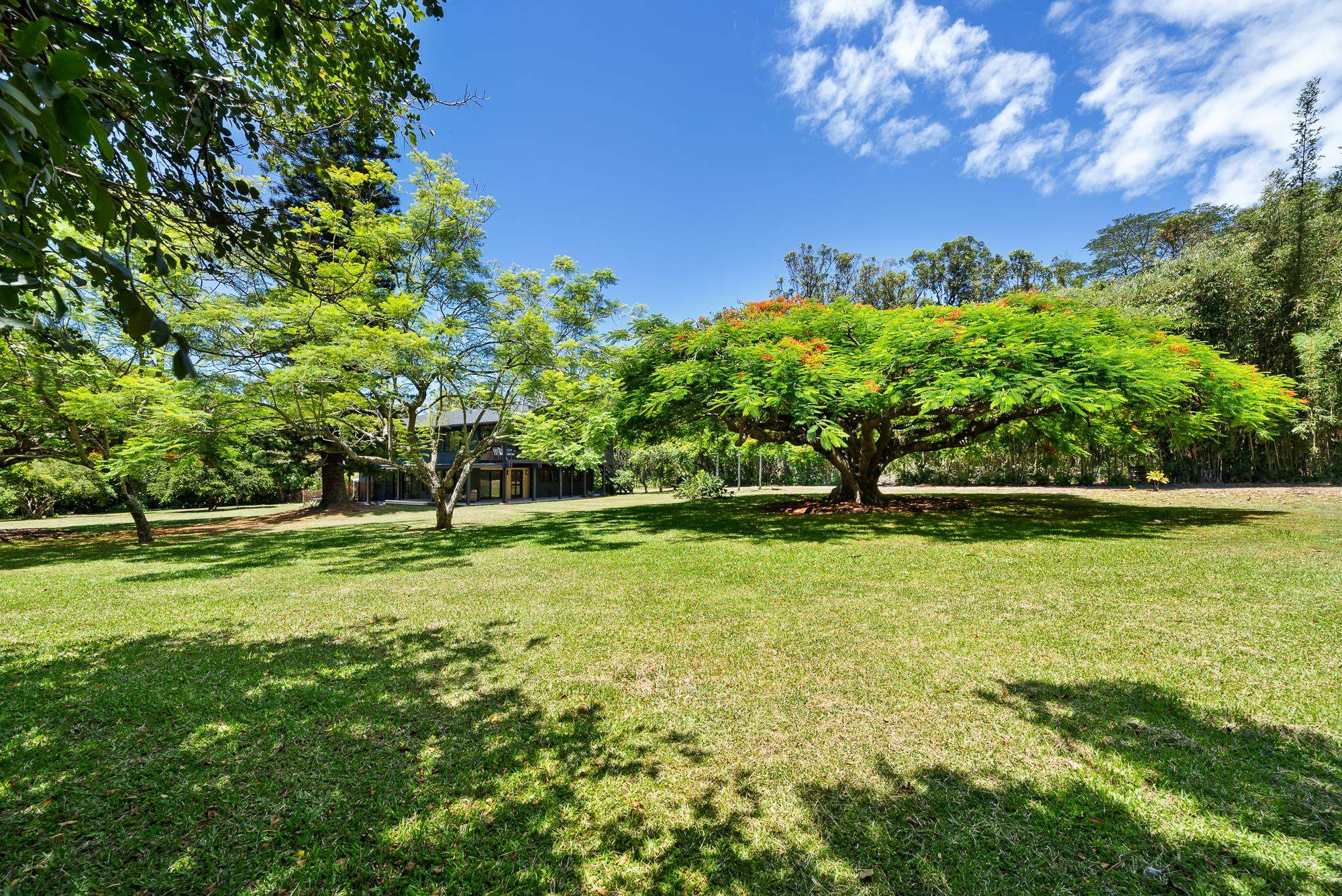 965 Hog Back Road Haiku, HI 96708 - Photo 7 of 44