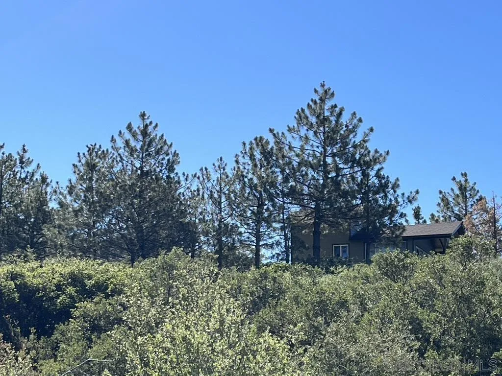 0 Thing Valley Road Pine Valley, CA 91962 - Photo 23 of 24 Gallery Image 23