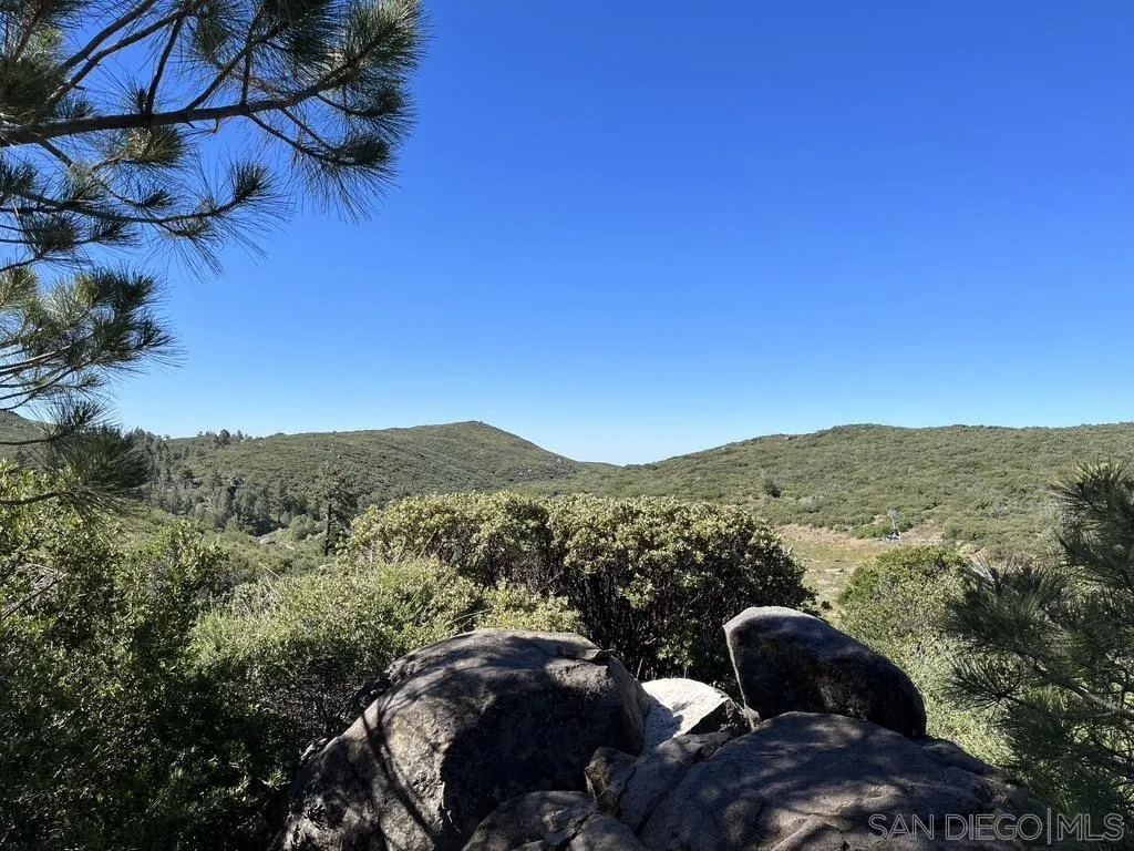 0 Thing Valley Road Pine Valley, CA 91962 - Photo 3 of 24 Gallery Image 3