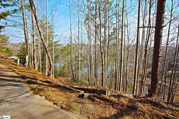 $499,000 | 106 St Christopher Court, Sunset, SC 29685