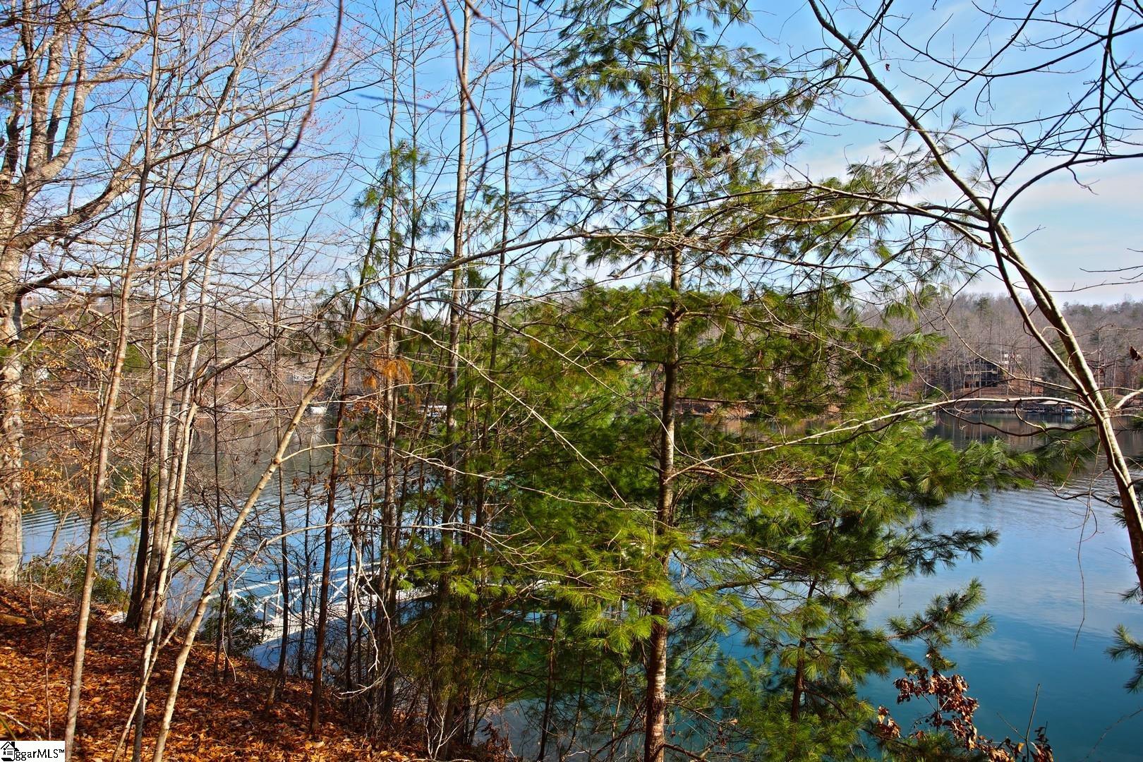 106 St Christopher Court Sunset, SC 29685 - Photo 21 of 50