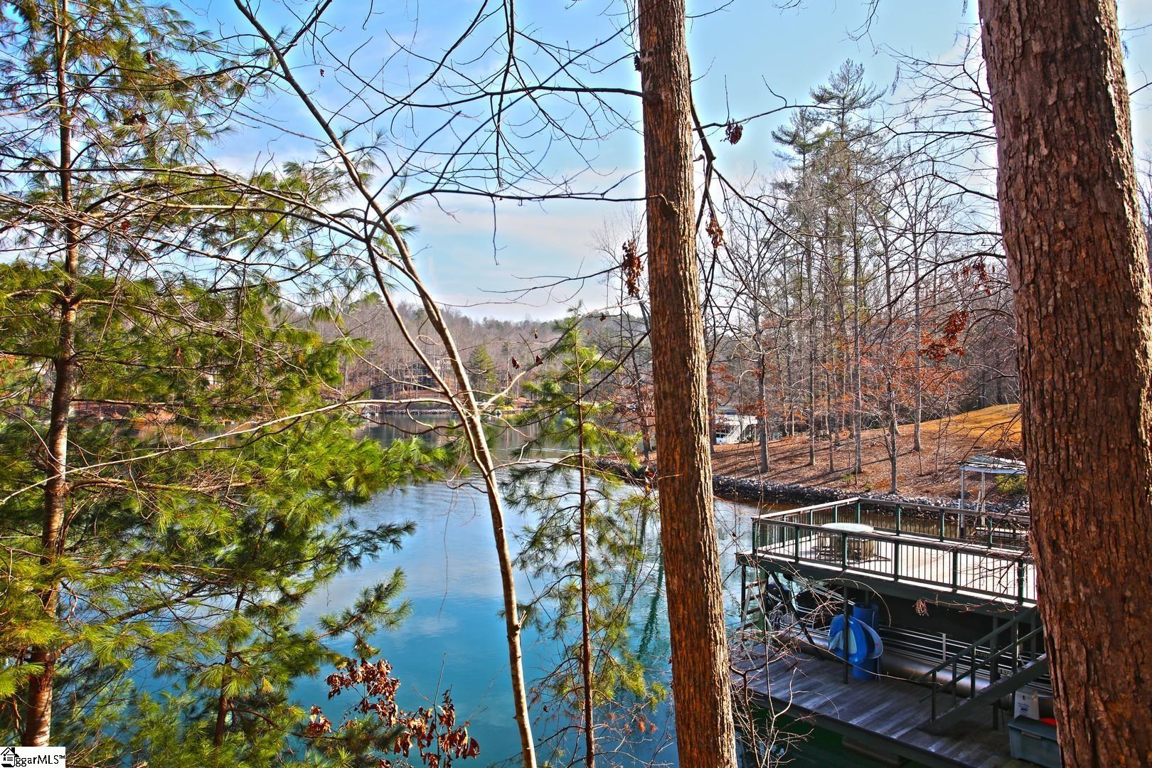 106 St Christopher Court Sunset, SC 29685 - Photo 22 of 50