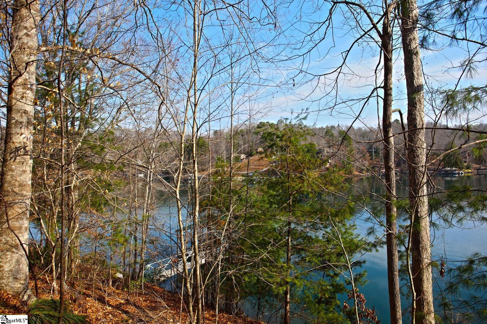 106 St Christopher Court Sunset, SC 29685 - Photo 23 of 50