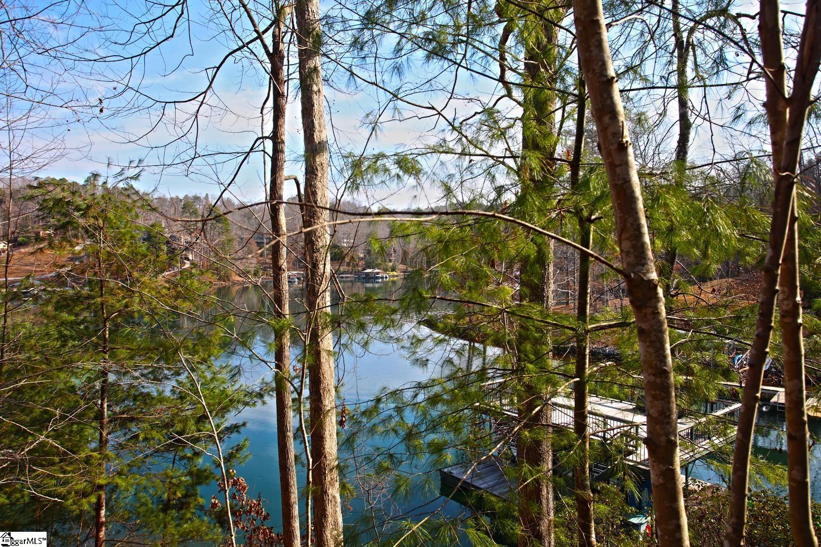 106 St Christopher Court Sunset, SC 29685 - Photo 24 of 50