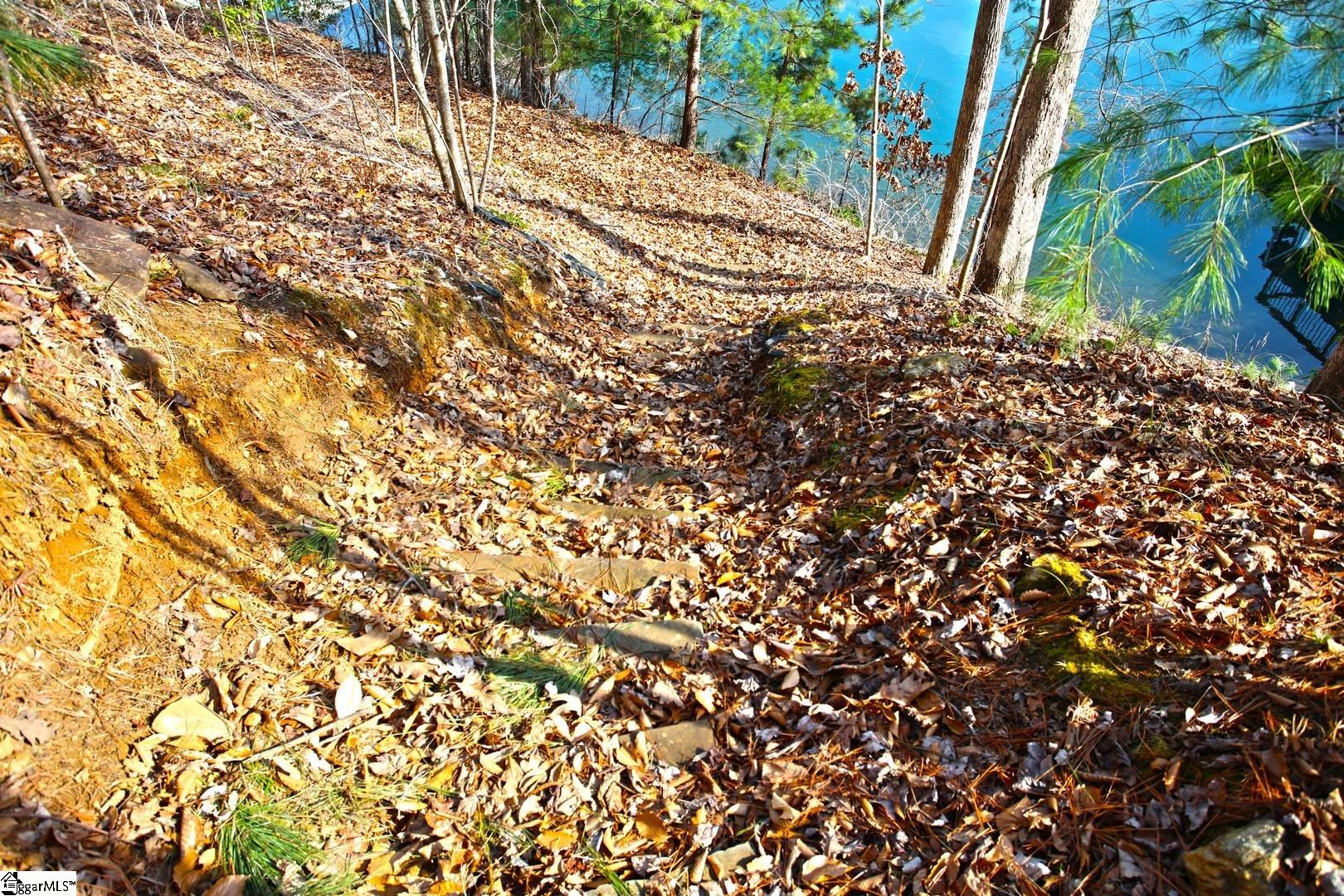 106 St Christopher Court Sunset, SC 29685 - Photo 25 of 50