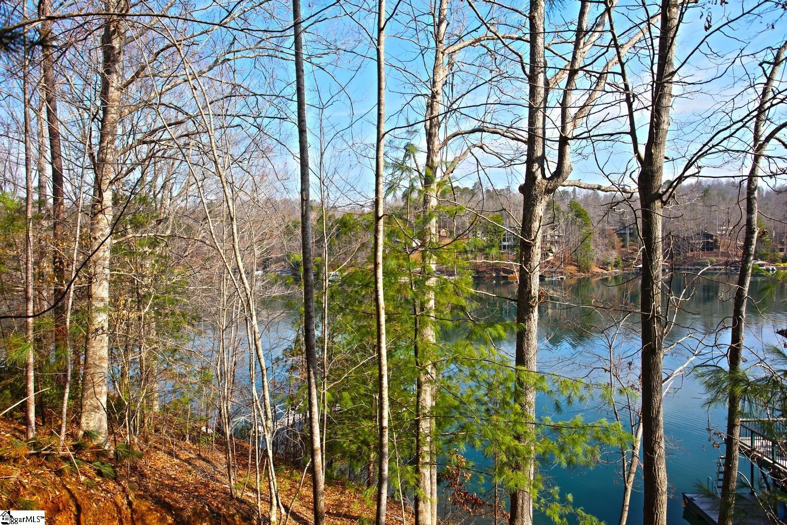 106 St Christopher Court Sunset, SC 29685 - Photo 26 of 50