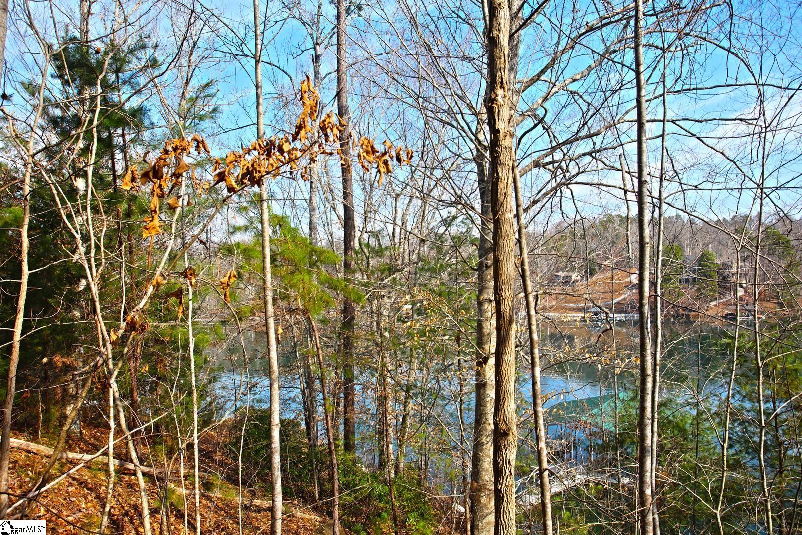 106 St Christopher Court Sunset, SC 29685 - Photo 28 of 50