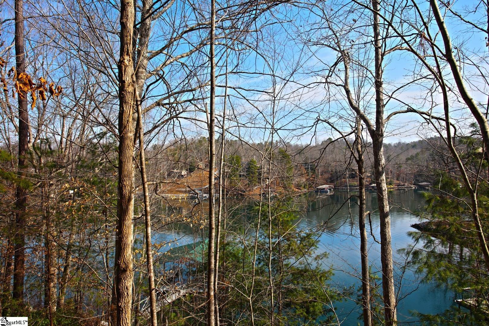 106 St Christopher Court Sunset, SC 29685 - Photo 29 of 50