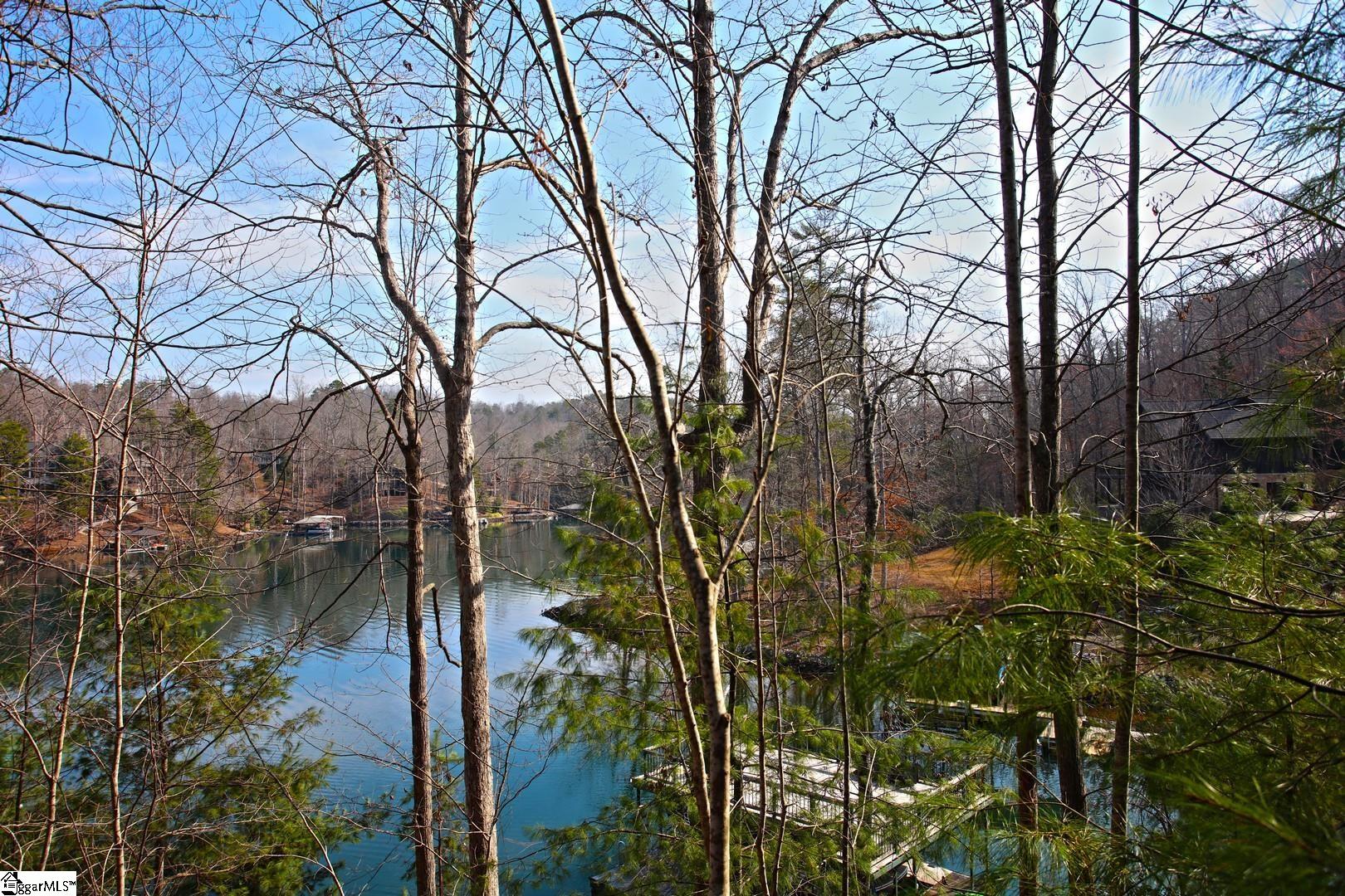 106 St Christopher Court Sunset, SC 29685 - Photo 30 of 50