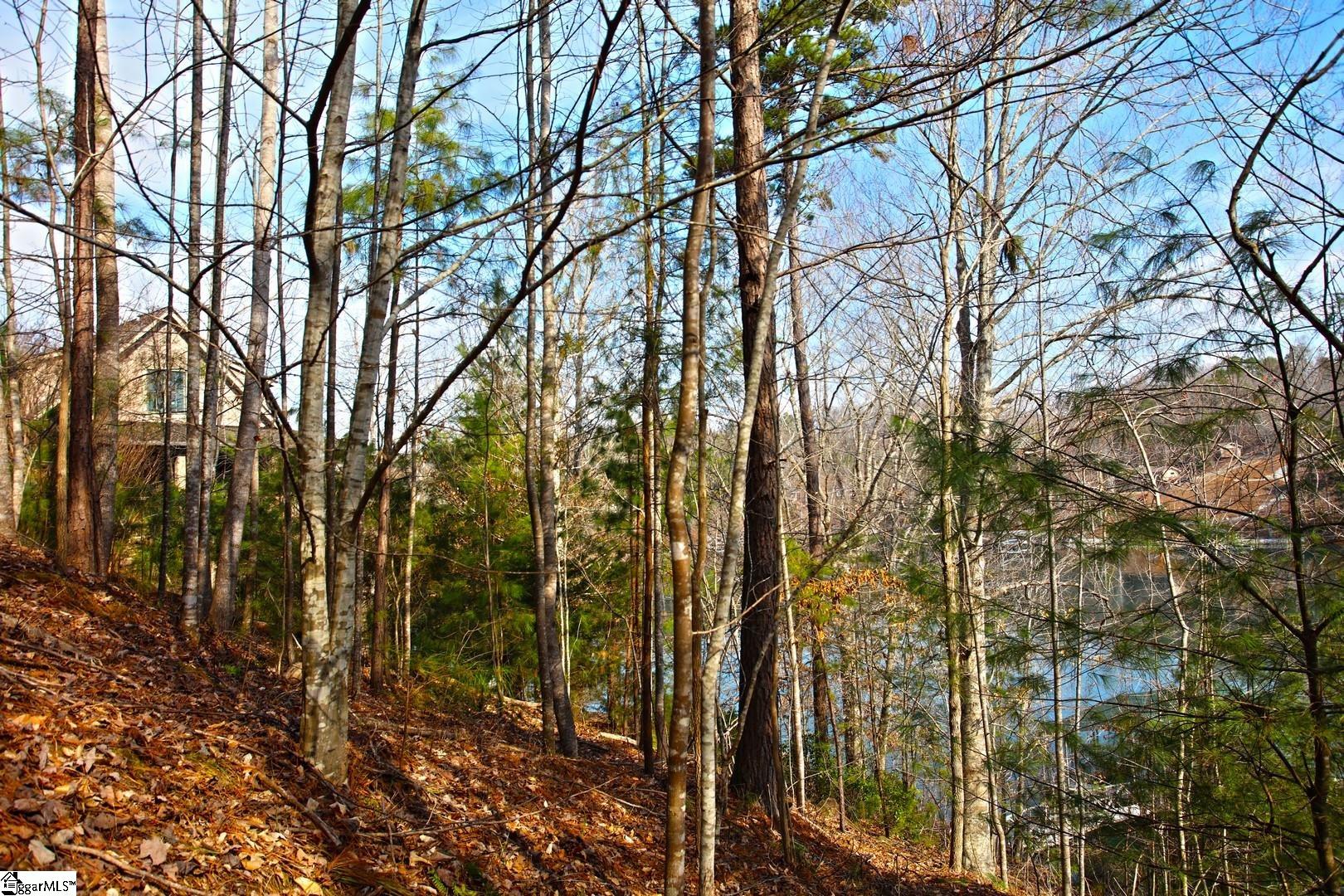 106 St Christopher Court Sunset, SC 29685 - Photo 31 of 50