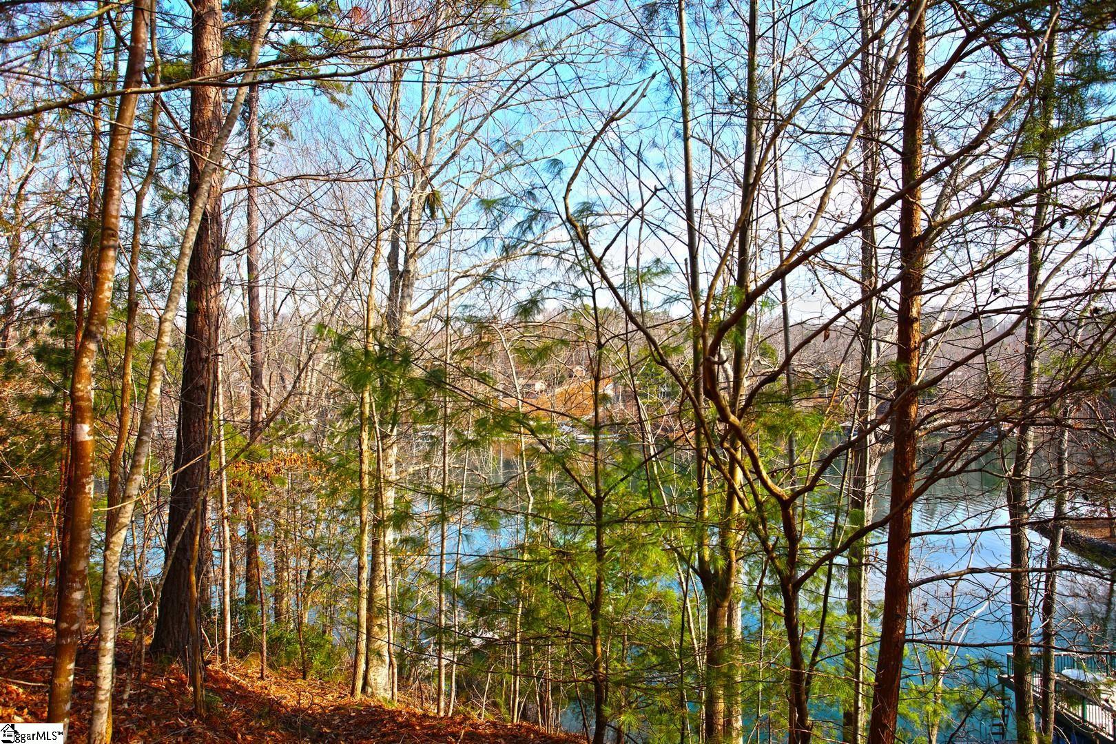 106 St Christopher Court Sunset, SC 29685 - Photo 32 of 50